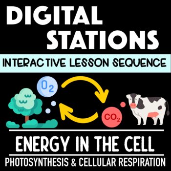 Preview of Photosynthesis and Cellular Respiration Digital Stations