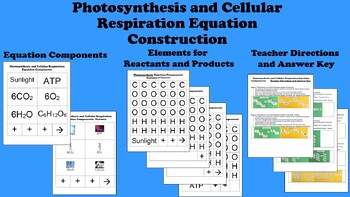 Preview of Photosynthesis and Cellular Respiration Equation Construction Lab + Art