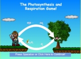 Photosynthesis and Cellular Respiration Game - Biomanbio
