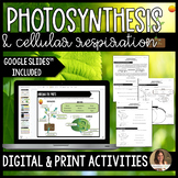 Photosynthesis and Cellular Respiration Activities - Googl