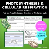 Photosynthesis and Cellular Respiration Guided Notes (Prin