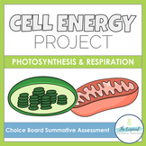 Photosynthesis and Cellular Respiration Project