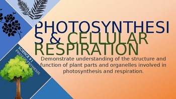 Preview of Photosynthesis and Cellular Respiration Lesson