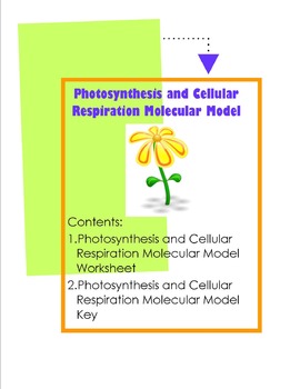 Photosynthesis And Cellular Respiration Molecular Model Tpt
