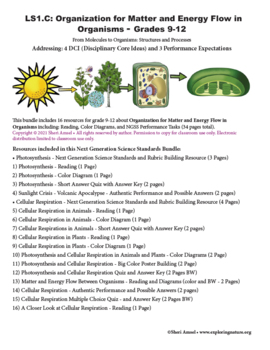 Preview of Photosynthesis and Cellular Respiration (NGSS Grade 9-12)