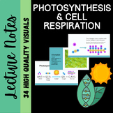 Photosynthesis and Cellular Respiration PPT Notes