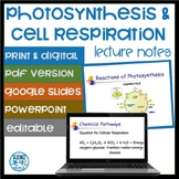 Photosynthesis and Cellular Respiration Notes- PDF, PowerP
