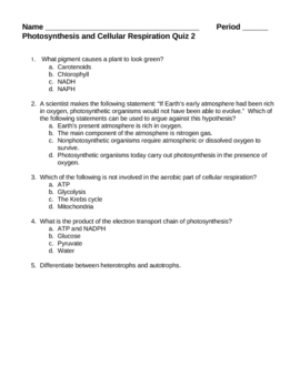 photosynthesis and cellular respiration test questions