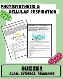 Photosynthesis and Cellular Respiration Quizzes - Claim, E