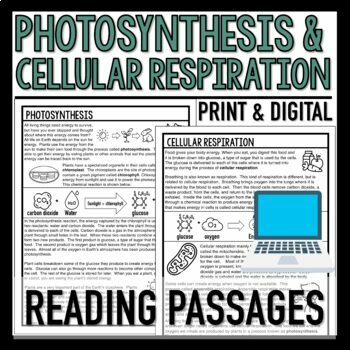 Preview of Photosynthesis and Cellular Respiration Reading Passages