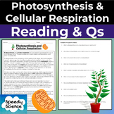 Photosynthesis and Cellular Respiration Reading & Question