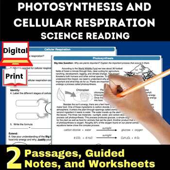 Preview of Photosynthesis and Cellular Respiration Science Reading Comprehension Passages