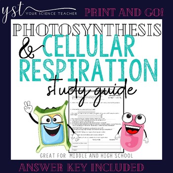 Preview of Photosynthesis and Cellular Respiration Study Guide - Print and Go!