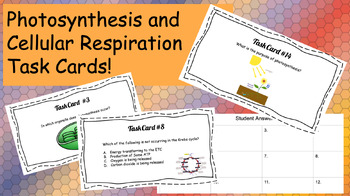 Preview of Photosynthesis and Cellular Respiration Task Cards