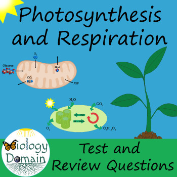 Preview of Photosynthesis and Cellular Respiration Test, Review Questions, and Answer Keys