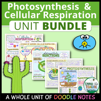 Preview of Photosynthesis & Cellular Respiration UNIT: Guided Doodle Notes, Review Activity