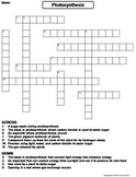 Photosynthesis and Cellular Respiration Activity/ Crosswor