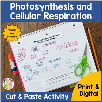 Preview of Photosynthesis and Cellular Respiration (cut & paste) Activity