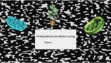 Photosynthesis and Matter Cycling Notebook | Google Slides