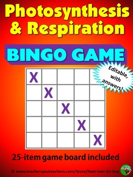 Preview of Photosynthesis and Respiration Bingo Review Game