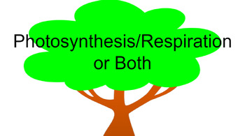 Preview of Photosynthesis and Respiration Comparison Activity