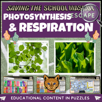 Preview of Photosynthesis and Respiration Escape Room
