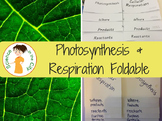 Photosynthesis and Cellular Respiration Foldable Notes
