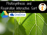 Photosynthesis and Cellular Respiration Digital Sort Activity