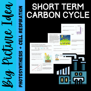 Preview of The Short Term Carbon Cycle (BIG PICTURE)