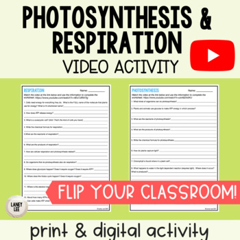 Preview of Photosynthesis and Respiration - Video Practice