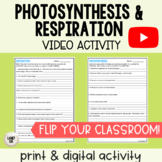 Photosynthesis and Respiration - Video Practice
