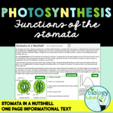 Photosynthesis The Function of the Stomata