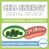 Photosynthesis and cellular respiration review activity