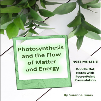 Preview of Photosynthesis and the Flow of Energy and Matter: PowerPoint & Doodle Dat Notes