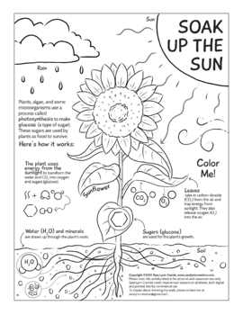 Preview of Photosynthesis coloring page