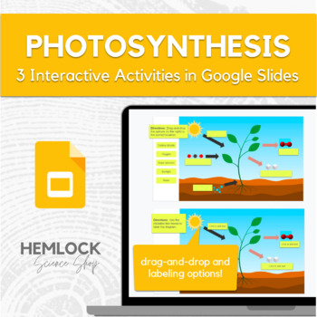 Preview of Photosynthesis - drag-and-drop/labeling activities in Slides