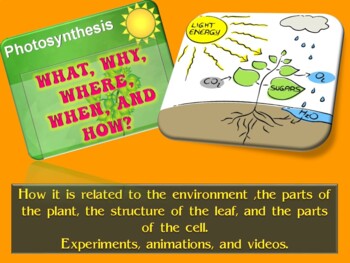 Preview of Photosynthesis - from chloroplast to environment
