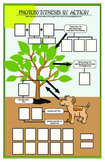 Photosynthesis in Action Activity - Grade 6, 7, 8