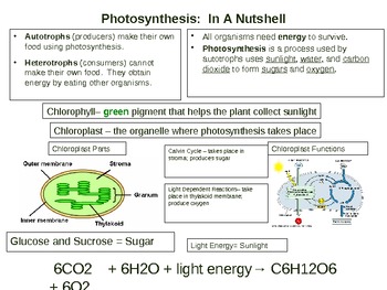 Preview of Photosynthesis in a Nutshell