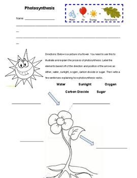 7th grade science photosynthesis worksheet answer key