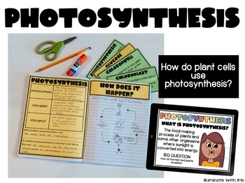 Preview of Photosynthesis lesson