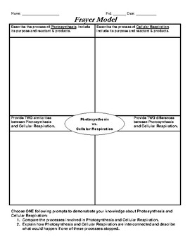 Photosynthesis Vs Cellular Respiration Worksheets Teaching Resources Tpt
