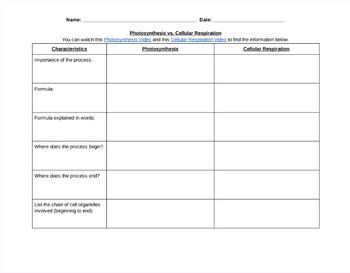Preview of Photosynthesis vs. Cellular Respiration Graphic Organizer & Essay
