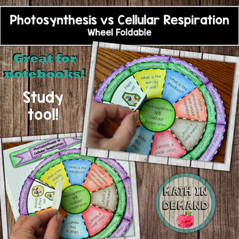 Preview of Photosynthesis vs Cellular Respiration Wheel Foldable