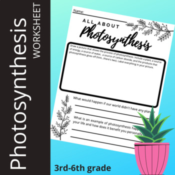 Preview of Photosynthesis worksheet
