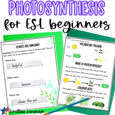 Photosynthesis worksheets for ESL students