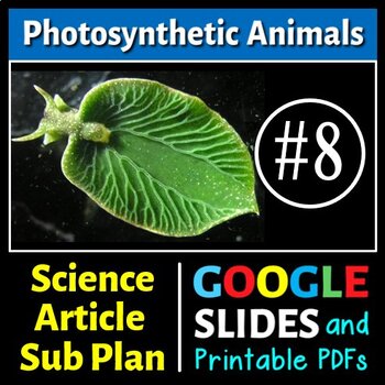 Photosynthetic Animals - Sub Plan / Science Reading #8 (Google Slide & PDFs)