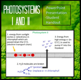 Photosystems I and II of Light Dependent Reactions of Phot