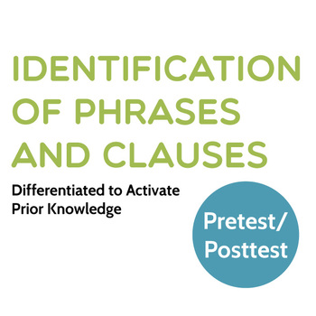Preview of Grammar: Identification of Phrases and Clauses Differentiated Pretest/Posttest