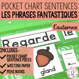 Phrases fantastiques - L'automne (FRENCH Fall Pocket Chart
